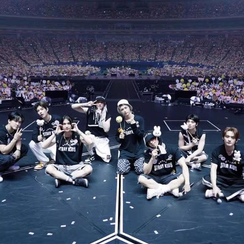 Stray Kids 長袖Tシャツとシャツ 100%コットン