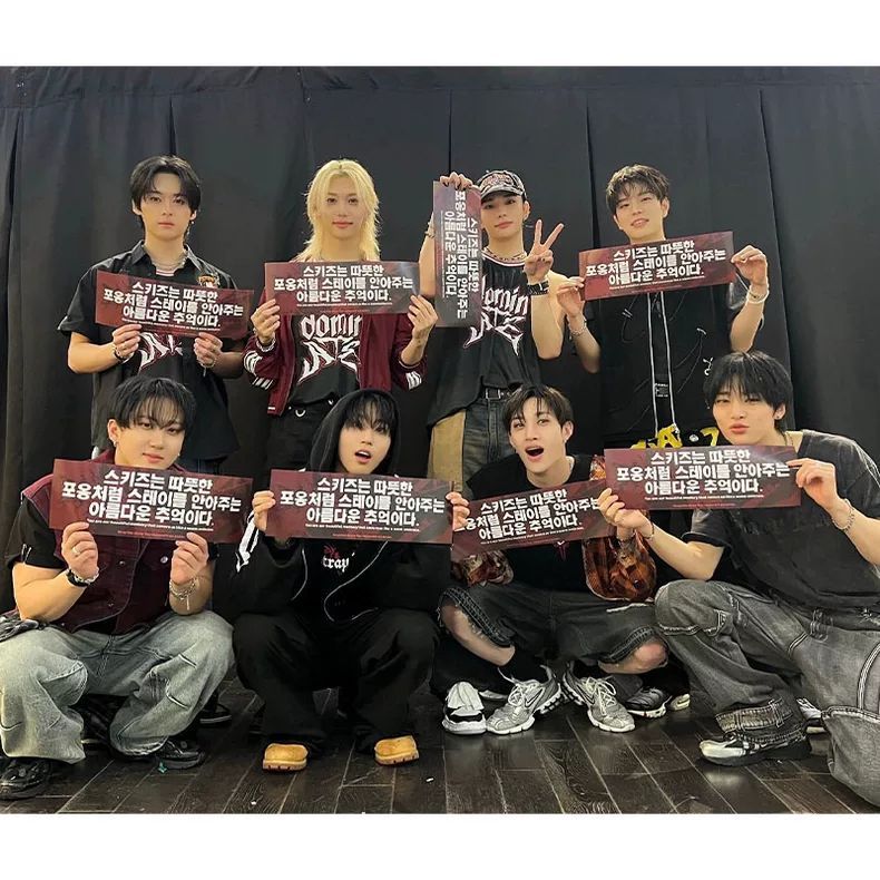 STRAY KIDS DOMINATE TOUR T-SHIRTS 綿100％
