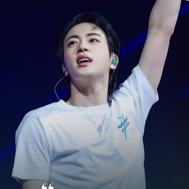 JIN RUNSEOKJIN ツアー Tシャツ 100% コットン